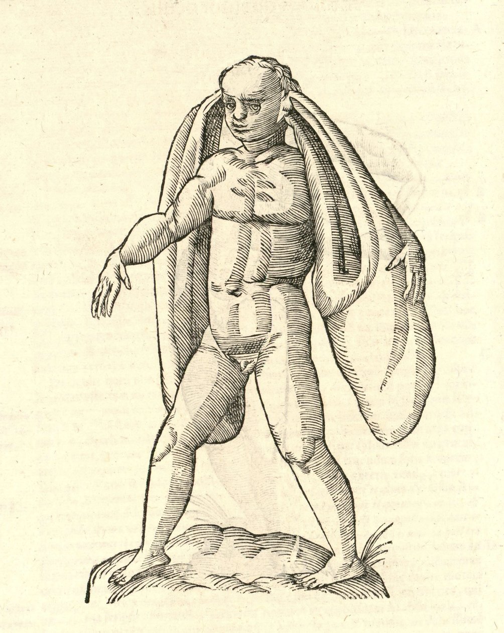 Illustration von Homo Fanesius auritus aus Aldrovandis Geschichte der Monster, 1642 von Italian School