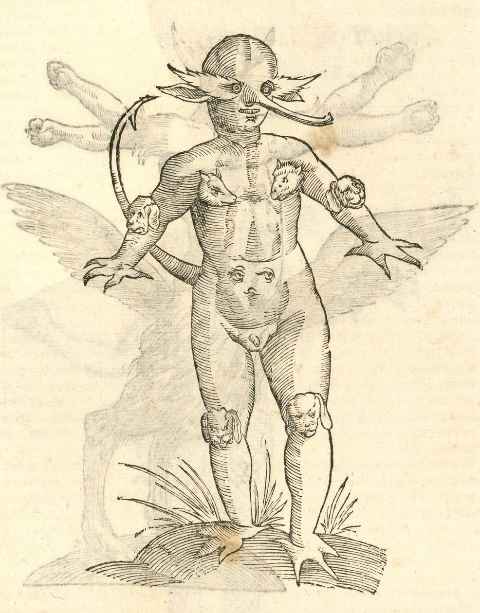 Illustration von Infans capitibus Animalium aus Aldrovandis Geschichte der Monster, 1642 von Italian School