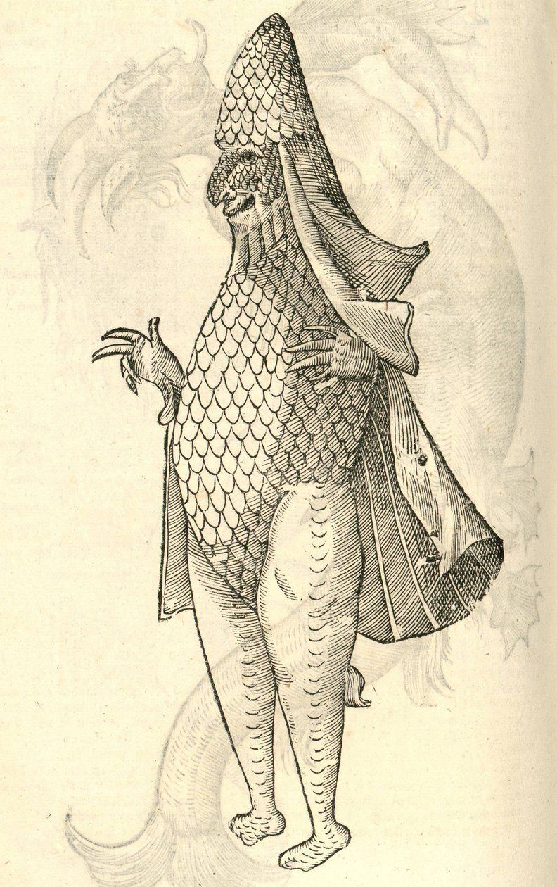 Illustration von Monstrum Marinum rudimenta habitus Episcopi referens aus Aldrovandis Geschichte der Monster, 1642 von Italian School