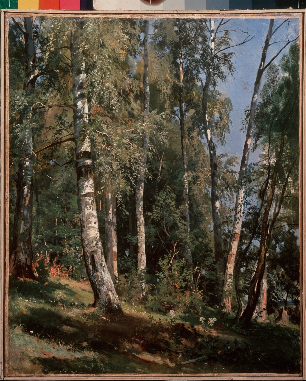 Birkenhain von Ivan Ivanovich Shishkin