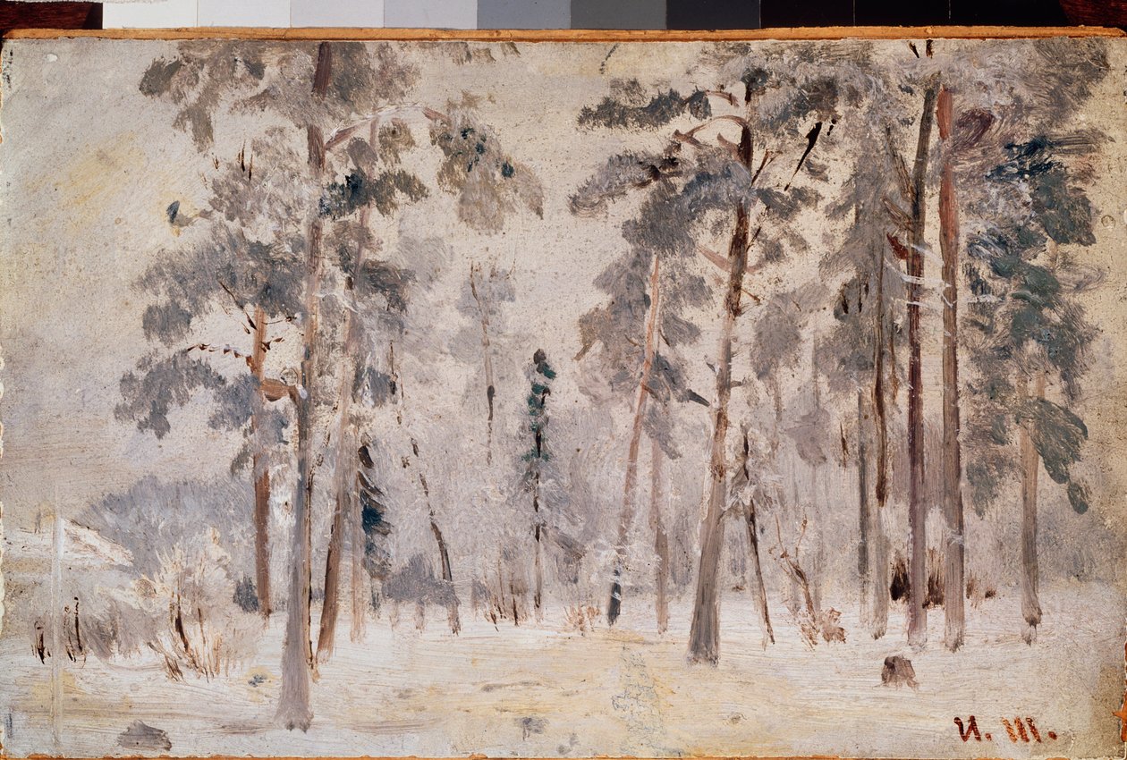 Raureif von Ivan Ivanovich Shishkin