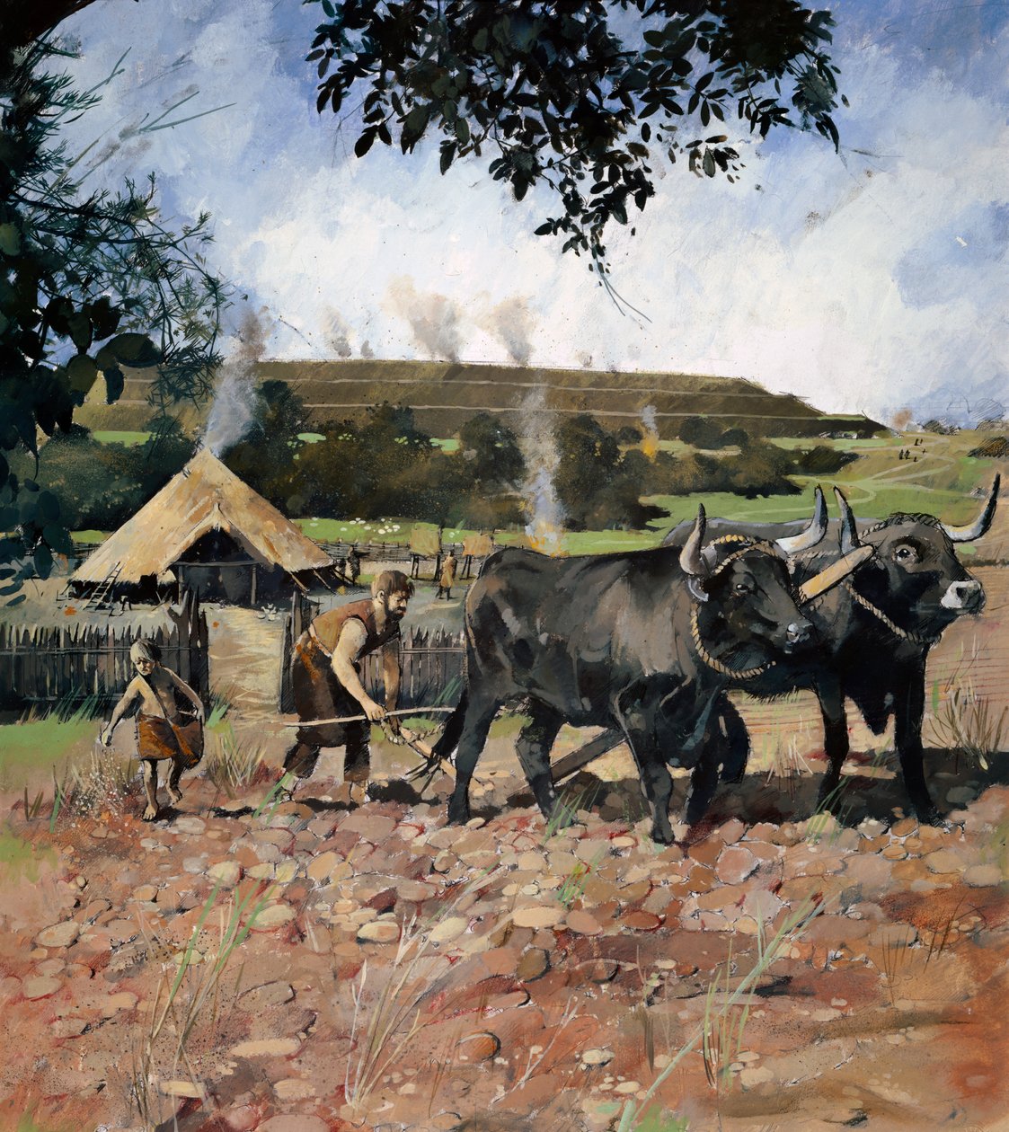 Eisenzeitlicher Ackerbau, Old Oswestry Hill Fort, Shropshire, ca. 1990-2010 von Ivan Lapper