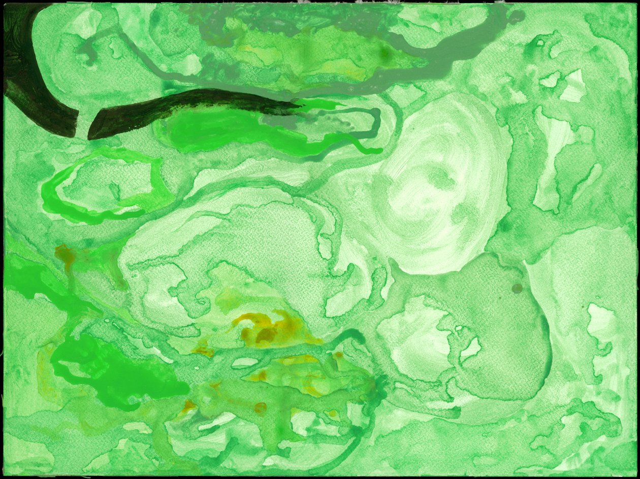 Kensington Gardens Serie: Der Pool des Chaos von Izabella Godlewska de Aranda