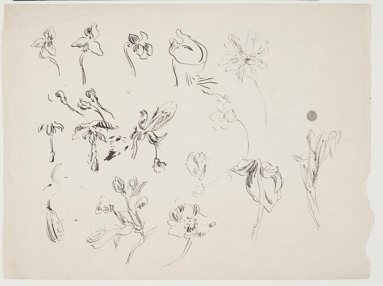 Blumenskizzen von J.A. Jerichau