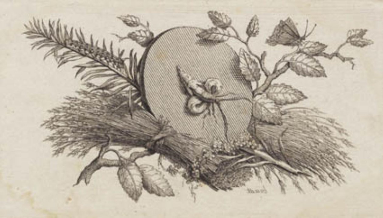 Eine kreisrunde geneigte Scheibe zwischen Blättern und Insekten von J.F. Clemens
