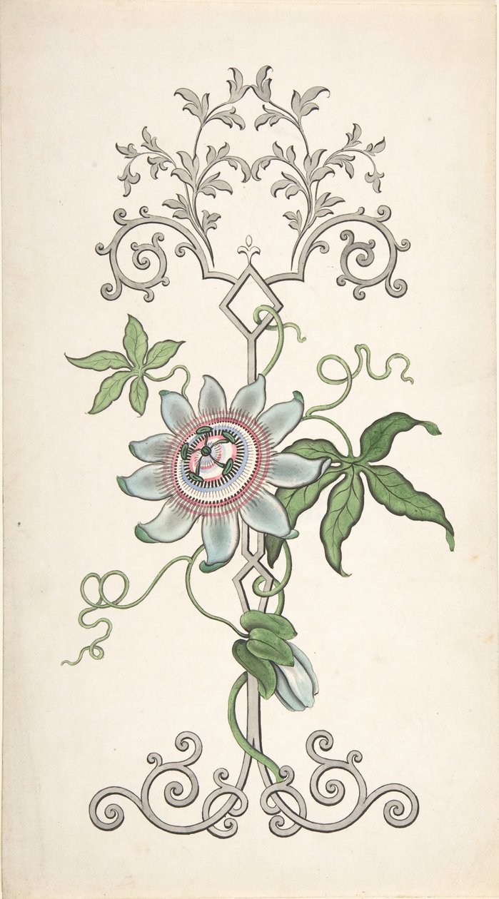 Entwurf für eine Paneeldekoration mit einer Passionsblume, 1828-40 von J Hulme