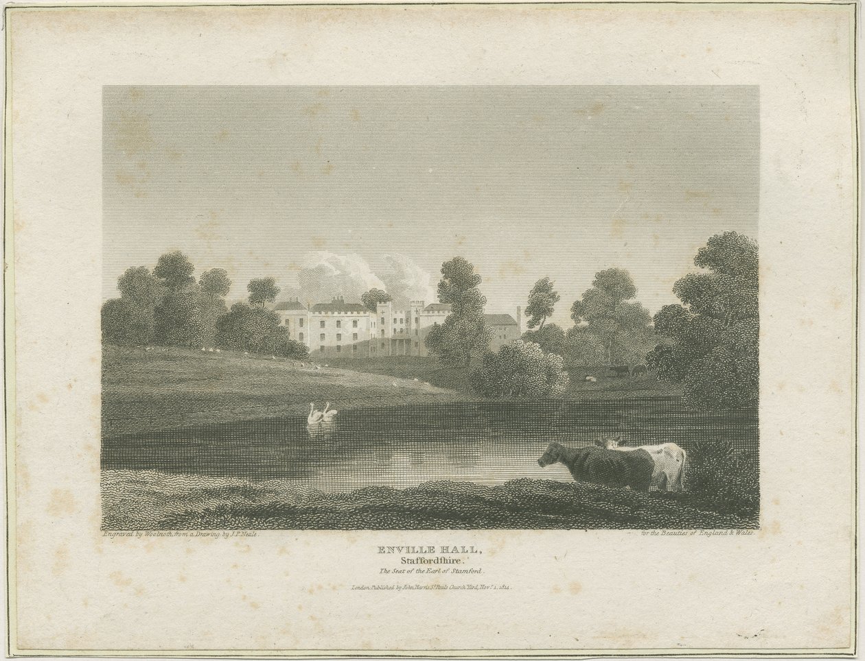 Enville Hall von John Preston Neale