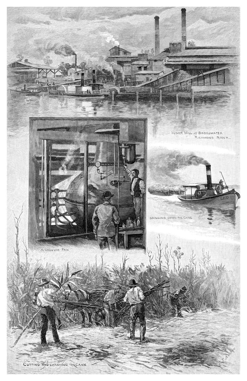 Die Zuckerindustrie, Richmond River, New South Wales, Australien von J. R. Ashton