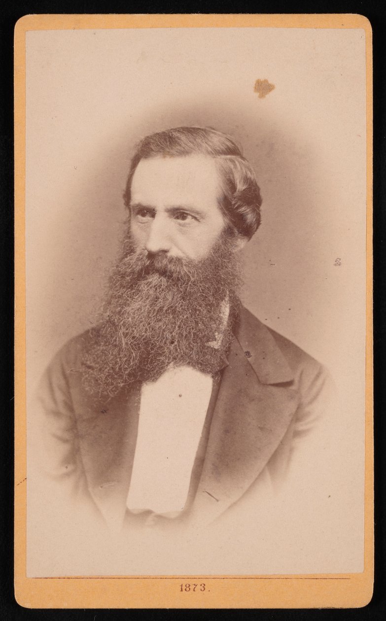 Porträt von Mordecai Cubitt Cooke 1825-1914, 1873 von J Stegmann