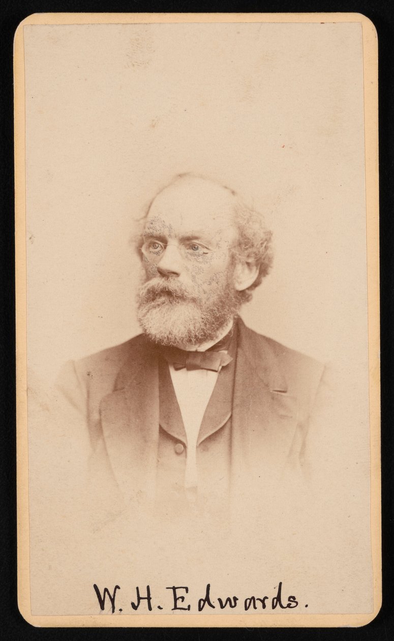 Porträt von William Henry Edwards von J and W Vincent