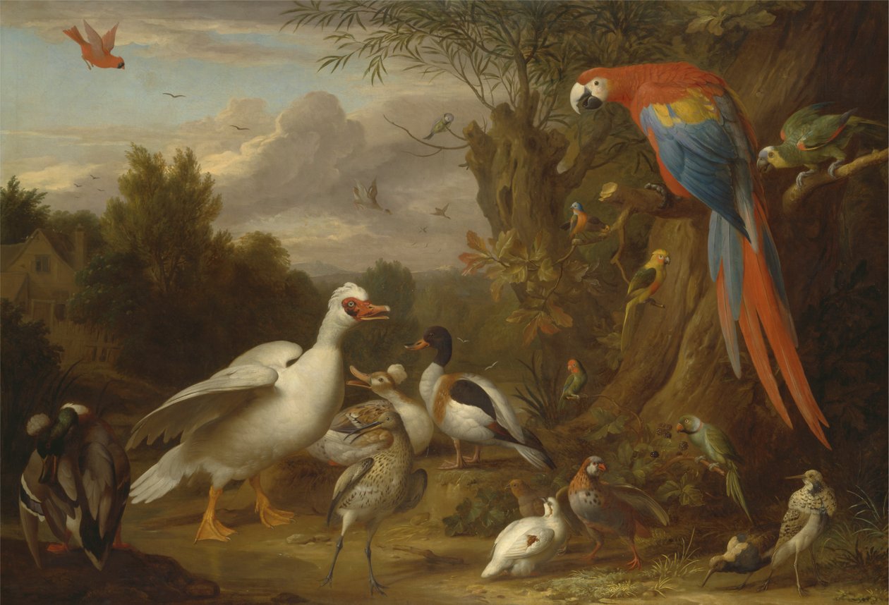 Ein Ara, Enten, Papageien und andere Vögel in einer Landschaft von Jacob Bogdani