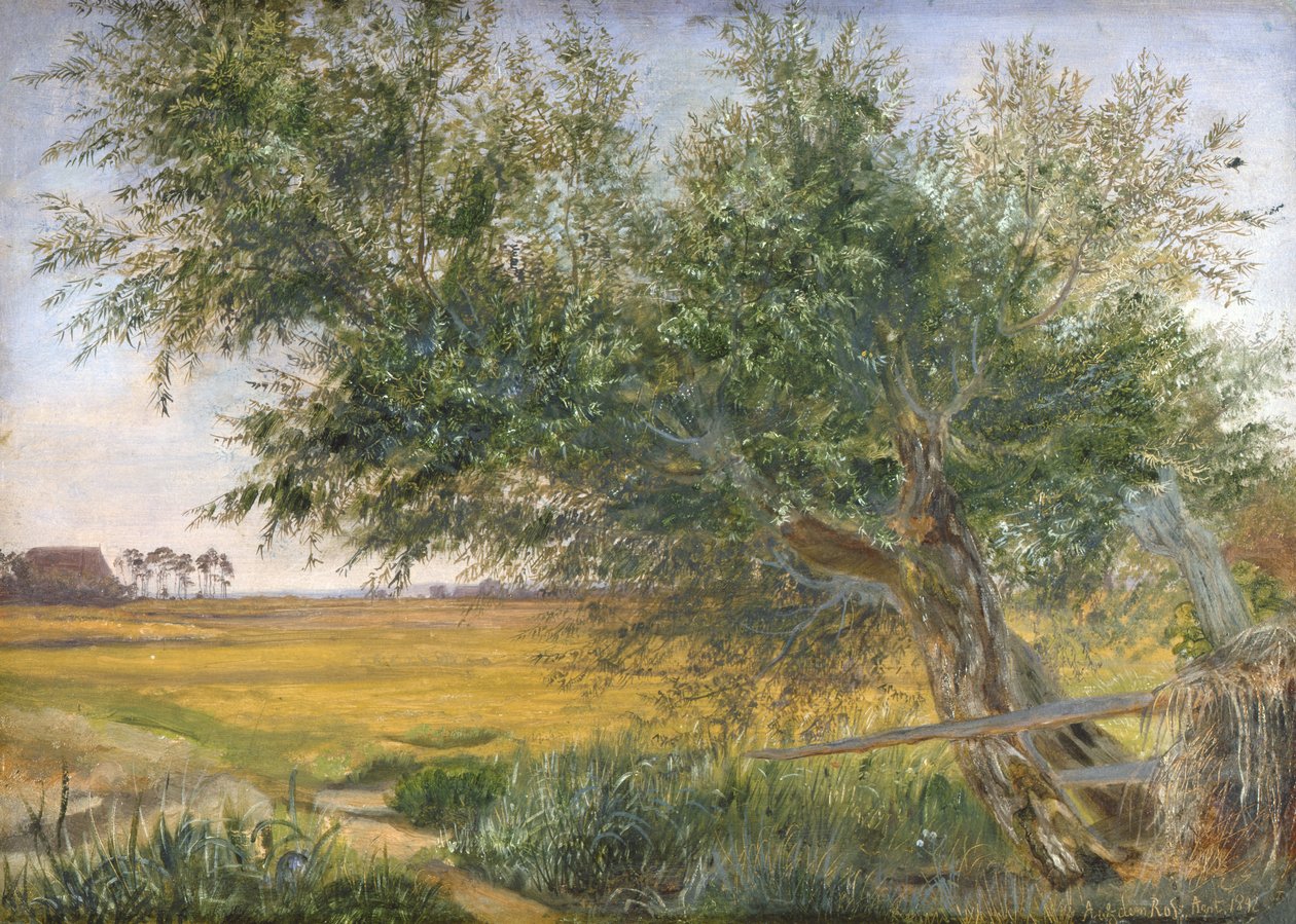 Der alte Baum, 1842 von Jacob Gensler