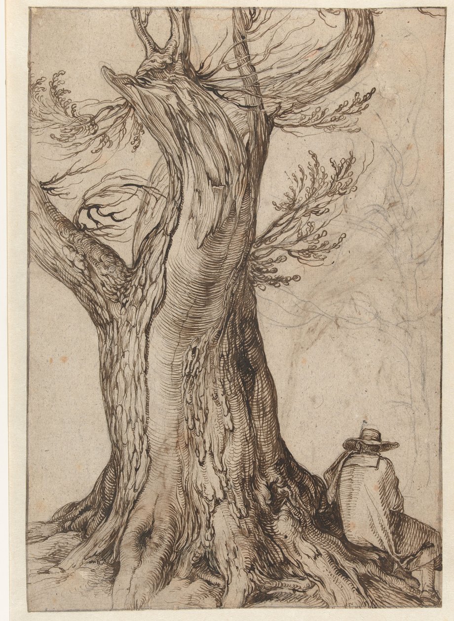 Studie eines Baumstamms von Jacob II de Gheyn
