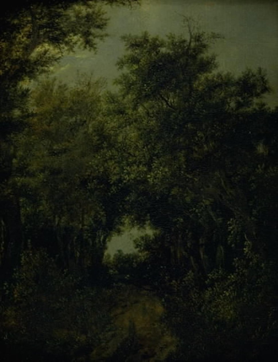 Straße in einem Eichenwald von Jacob van Ruisdael