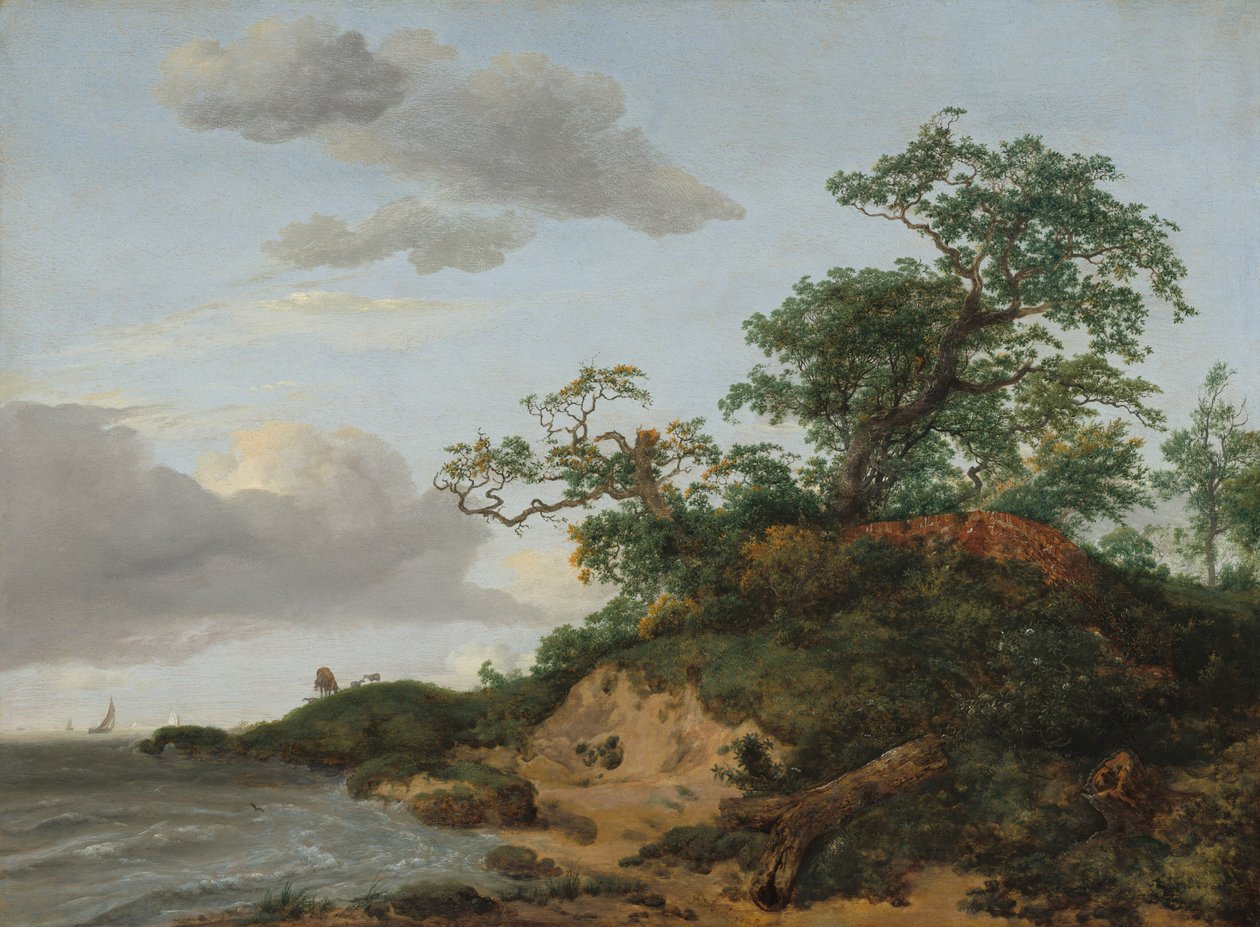 Dünen am Meer von Jacob Isaaksz. or Isaacksz. van Ruisdael