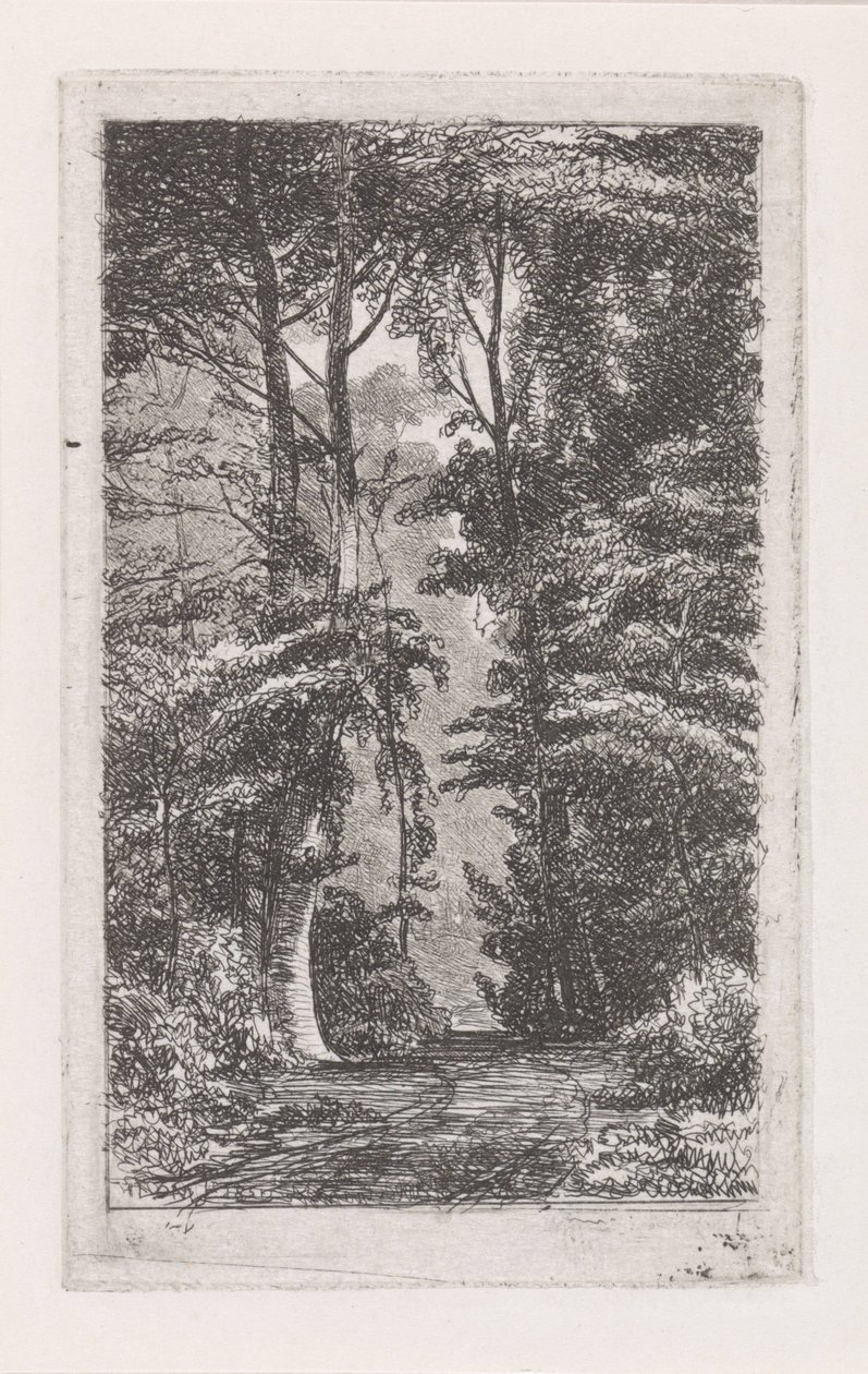 Waldweg von Jacob Jan van der Maaten