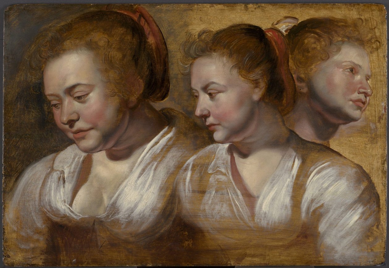Drei Studien einer jungen Frau von Jacob Jordaens