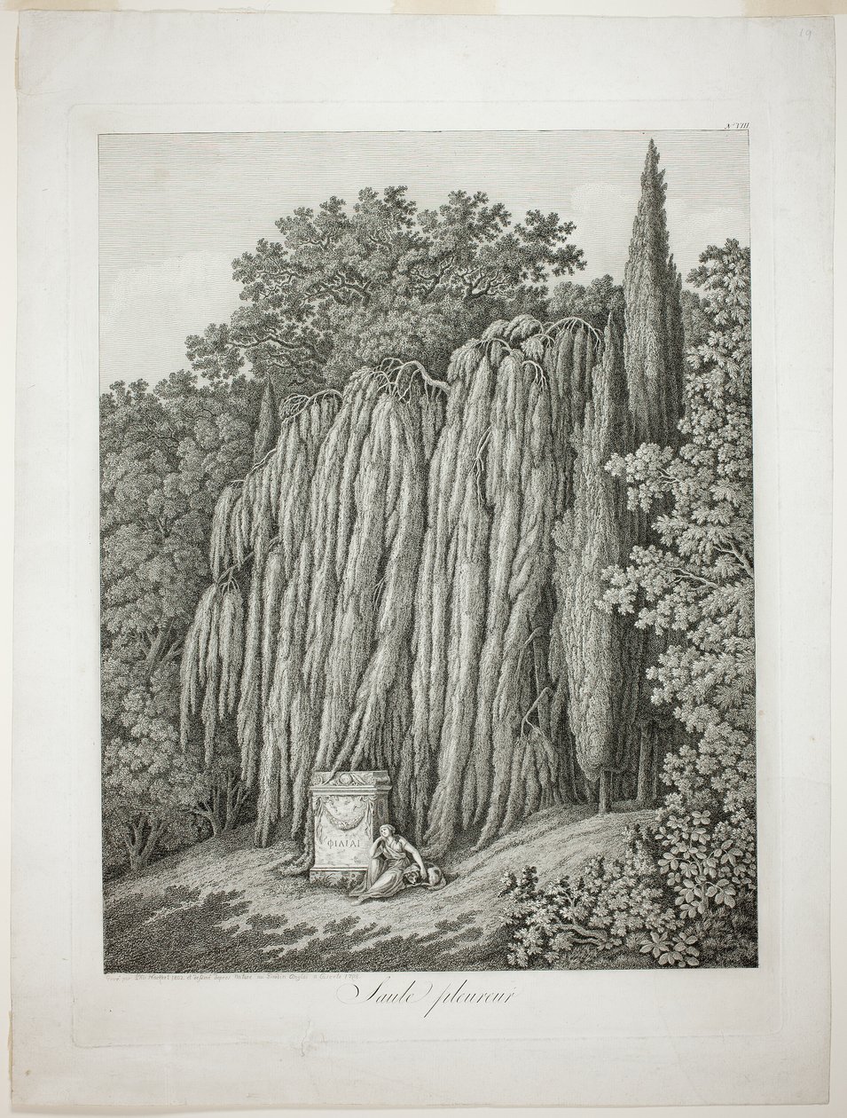 Trauerweide von Jacob Philipp Hackert
