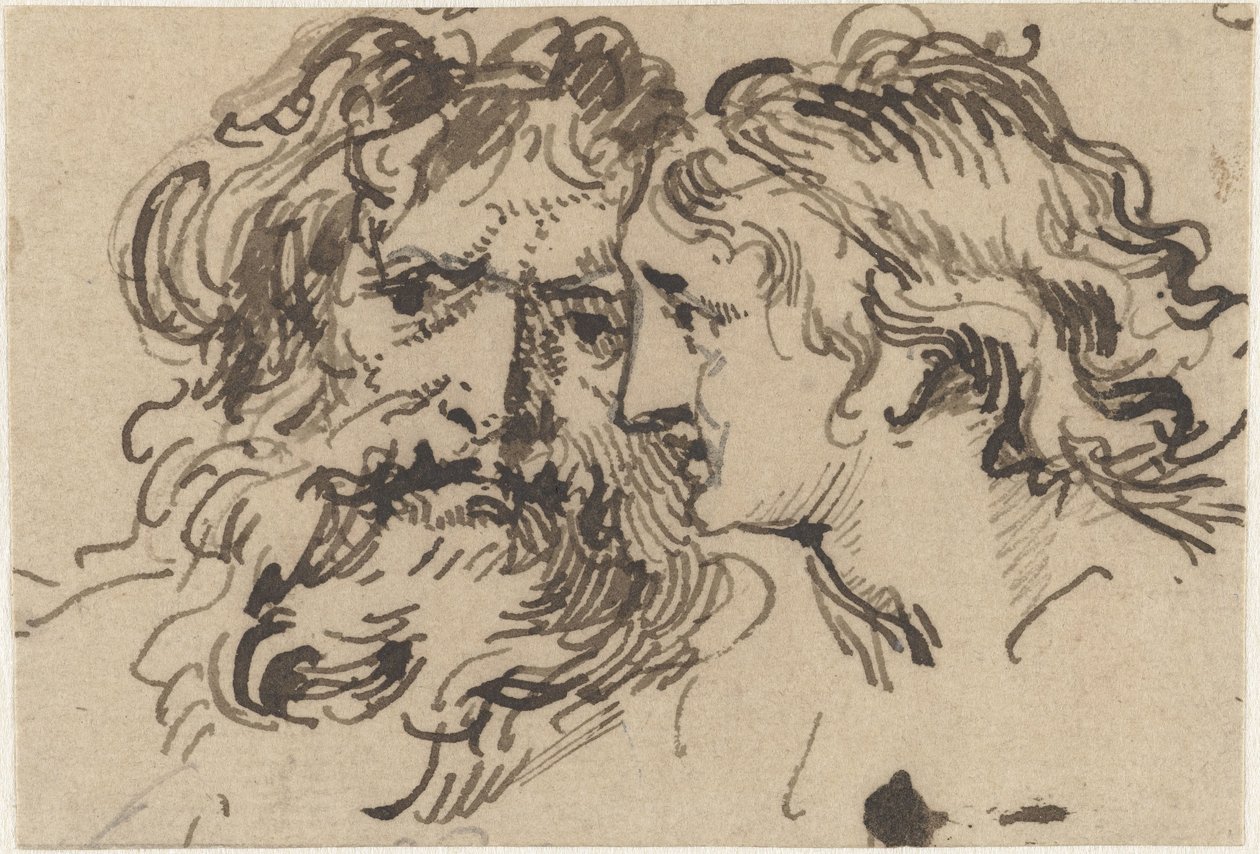 Kopf eines alten Mannes und einer jungen Frau von Jacob de Wit