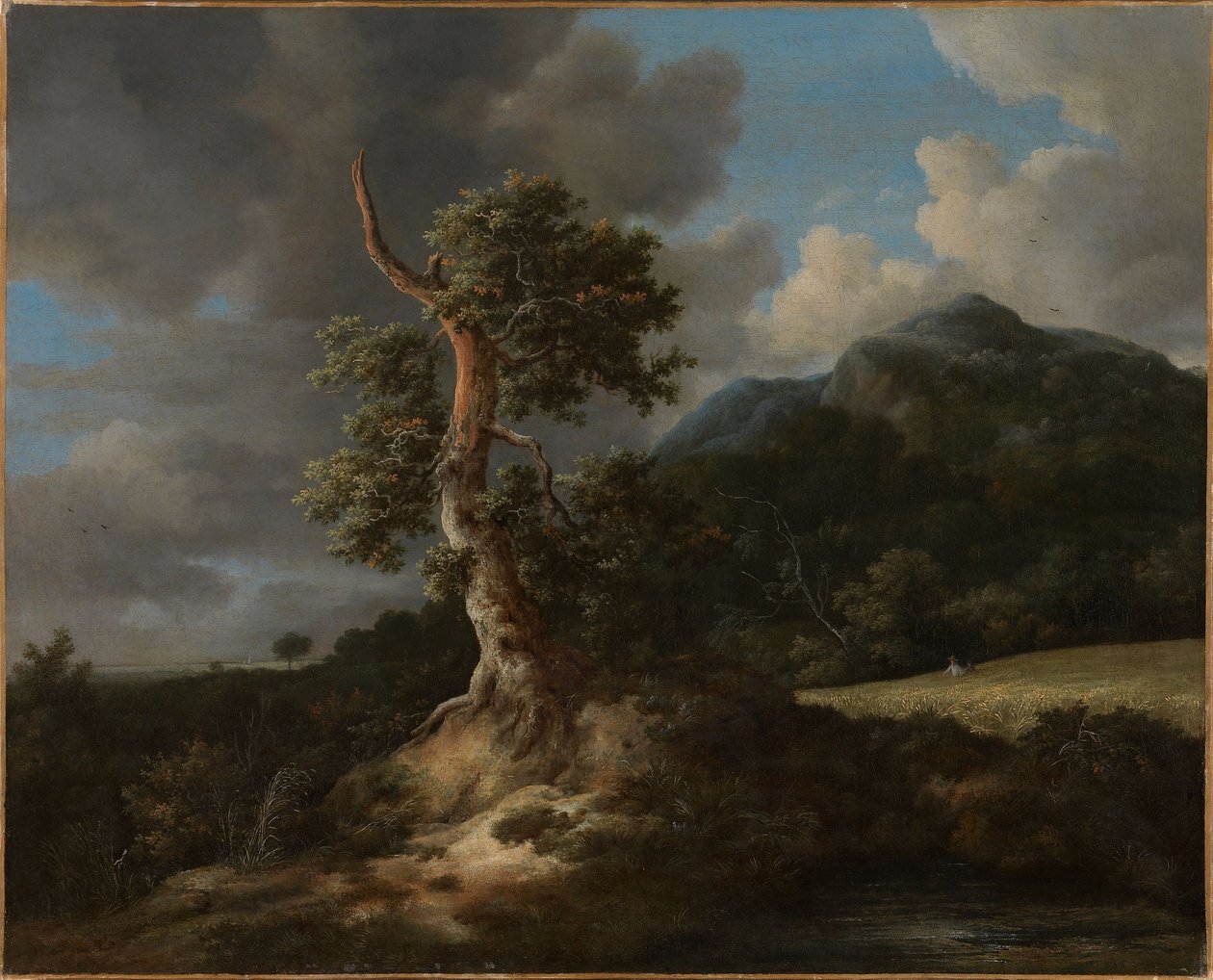Gebirgslandschaft mit einer zerstörten Eiche von Jacob van Ruisdael