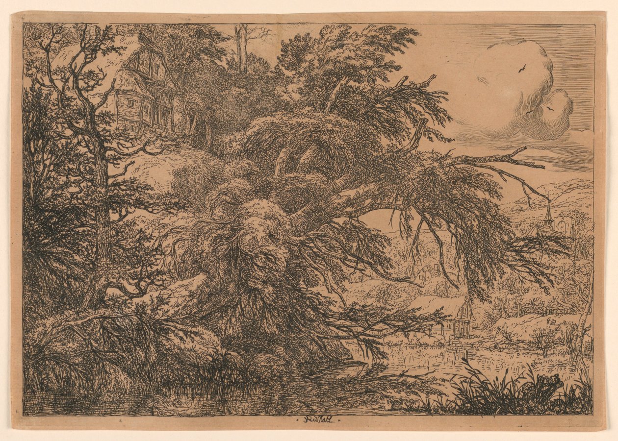 Das strohgedeckte Haus auf dem Hügel von Jacob van Ruisdael