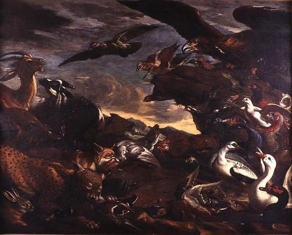 Die Schlacht der Vögel und der Tiere von Jacob van der Kerckhoven