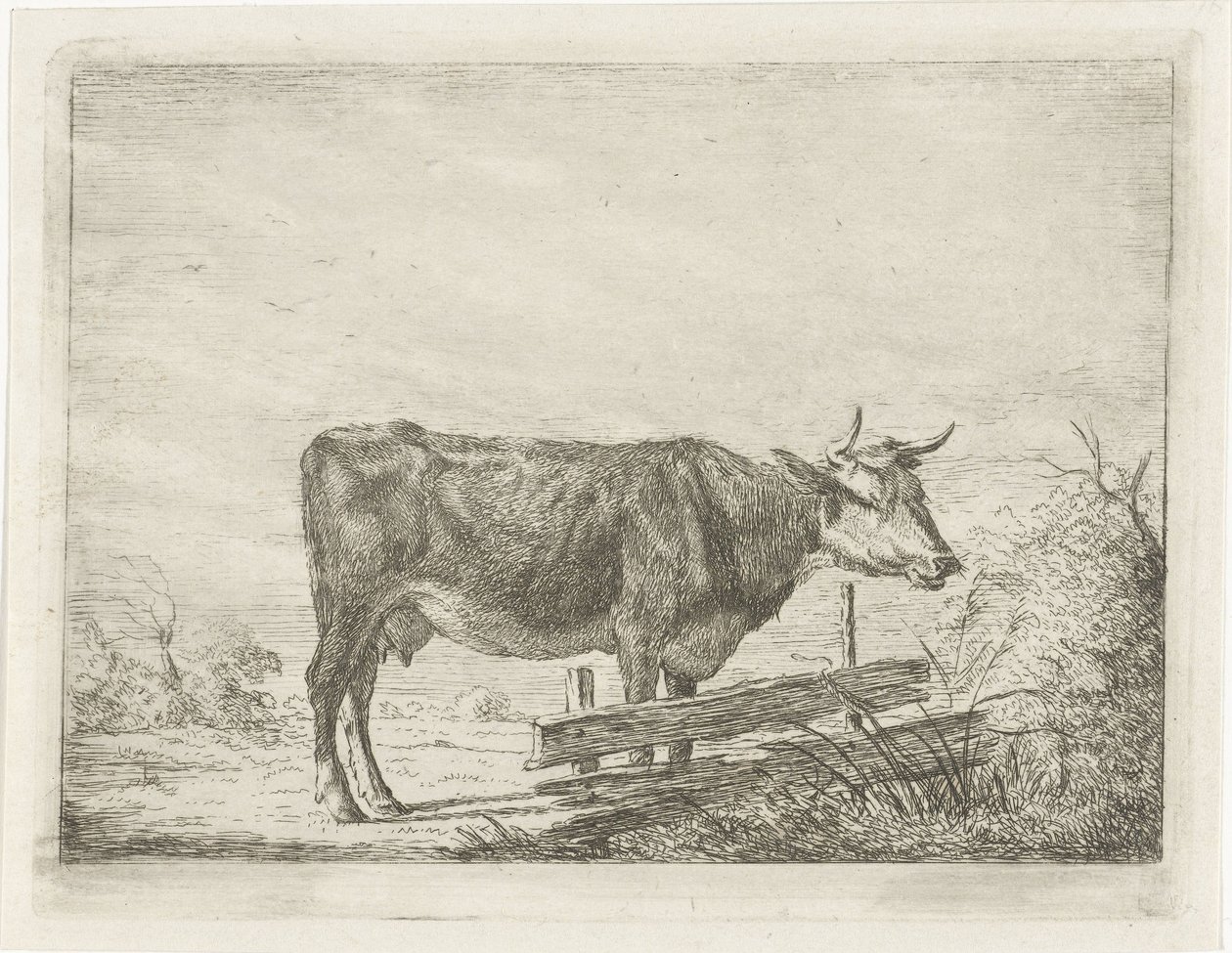 Kuh, stehend bei einem Zaun von Jacobus Cornelis Gaal