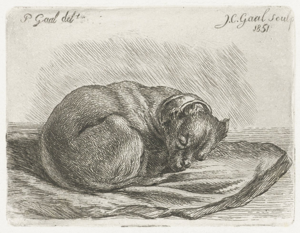 Schlafender Hund auf einer Decke von Jacobus Cornelis Gaal