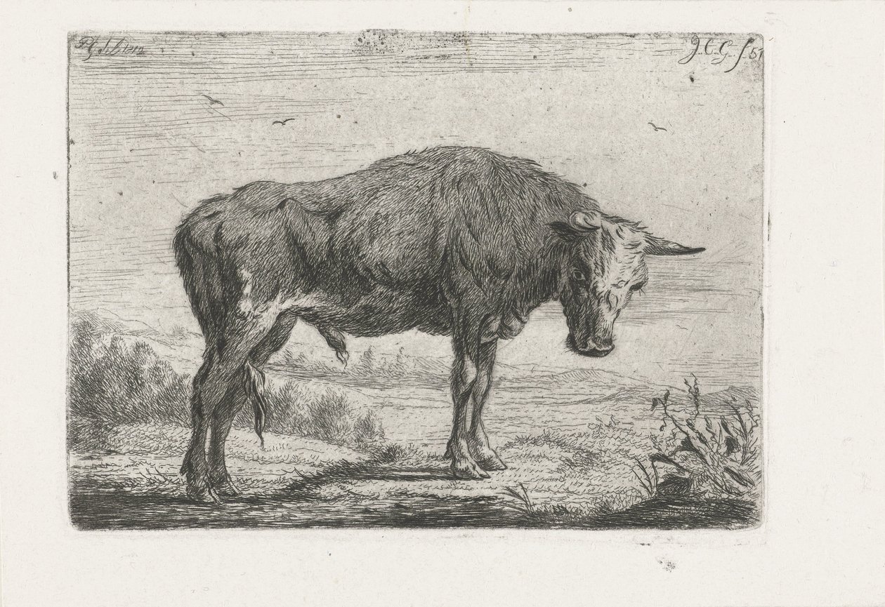 Stehender Stier von Jacobus Cornelis Gaal