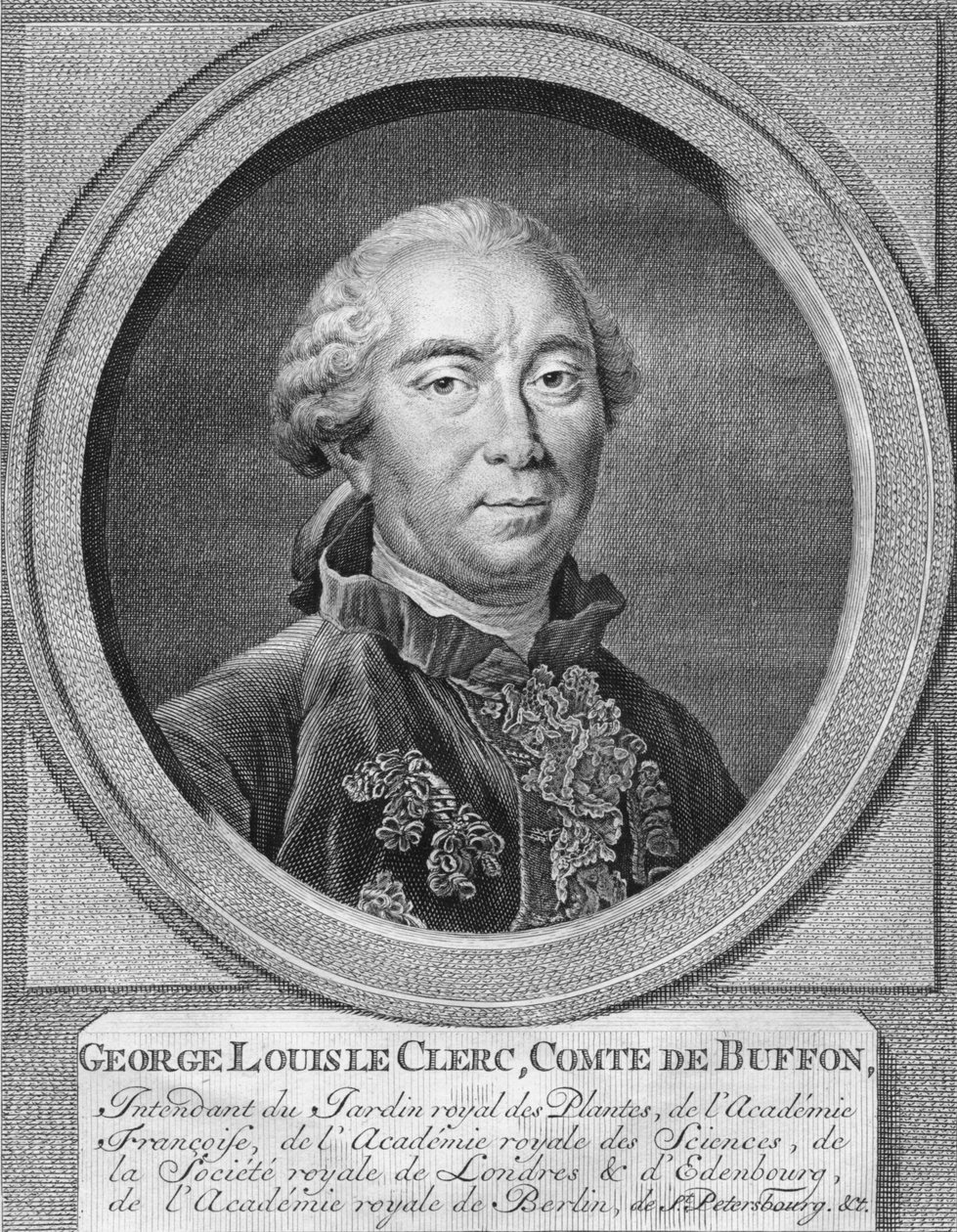Georges-Louis Leclerc, Comte de Buffon, 1774 von Jacobus Houbraken