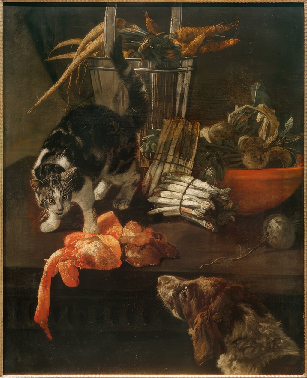 Küchenstück mit Hund und Katze von Jacobus Victors