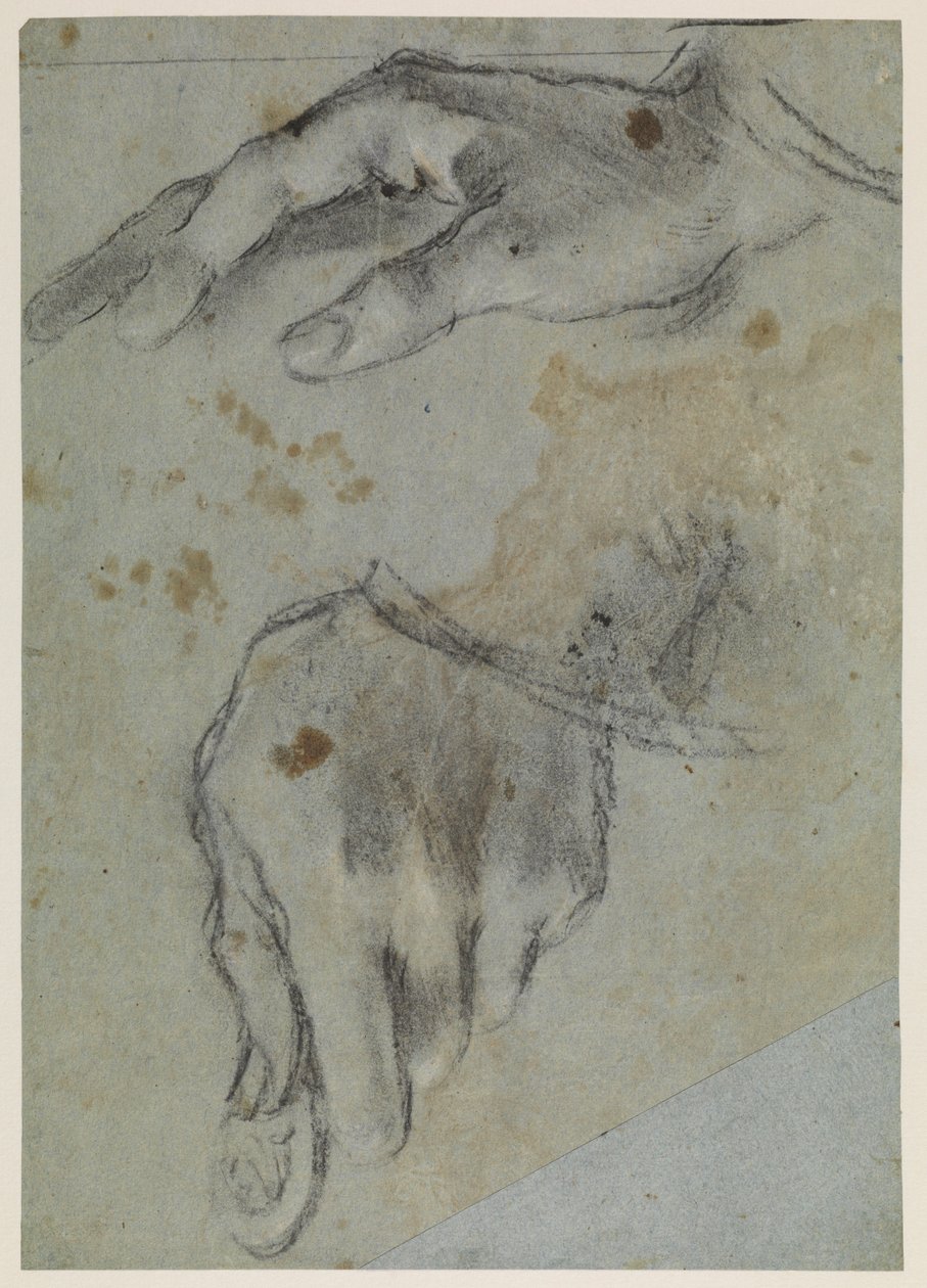 Studien von Händen, recto, 16. Jahrhundert von Jacopo Bassano
