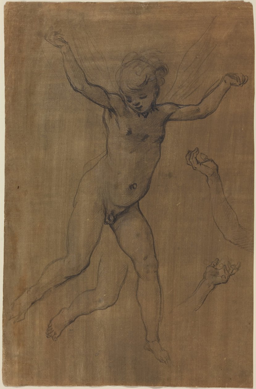 Ein Engel im Flug von Jacopo Chimenti Empoli