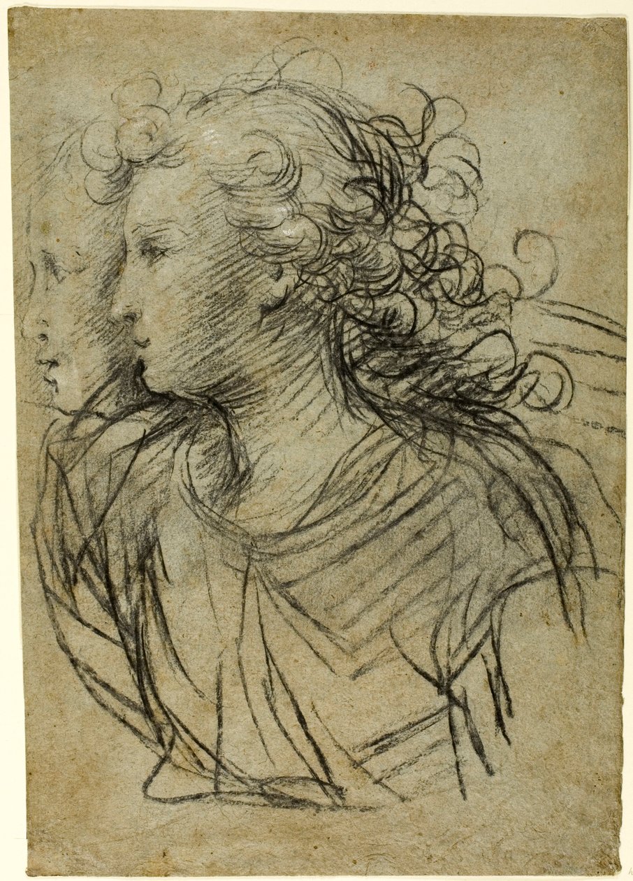 Halbporträt einer Frau im Profil nach links (recto); Halbporträt einer Figur im Dreiviertelprofil (verso) von Jacopo Confortini