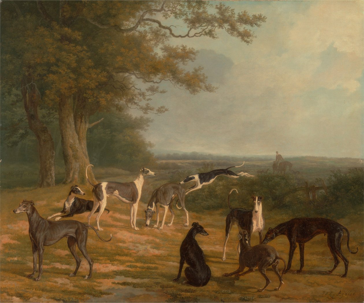 Neun Windhunde in einer Landschaft von Jacques-Laurent Agasse