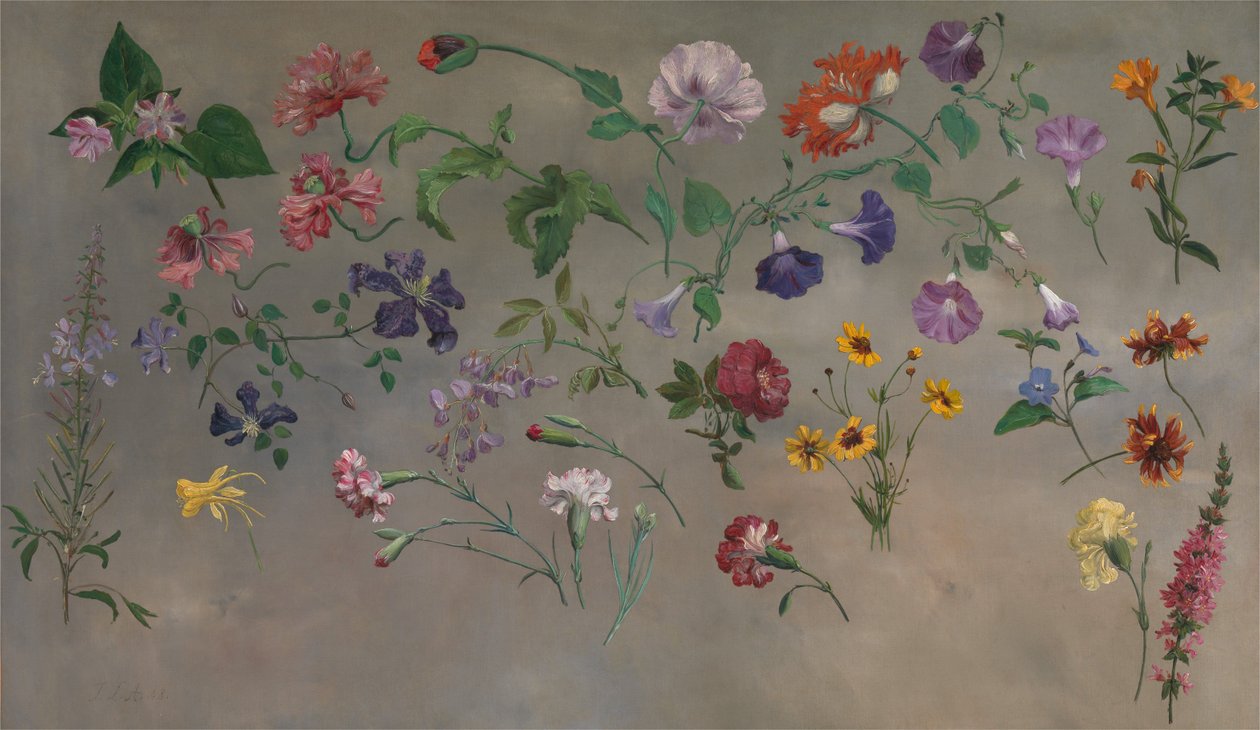 Blumenstudien von Jacques-Laurent Agasse