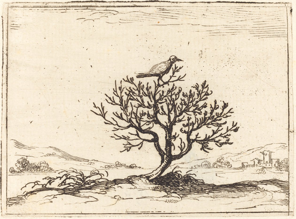 Nachtigall im Busch von Jacques Callot