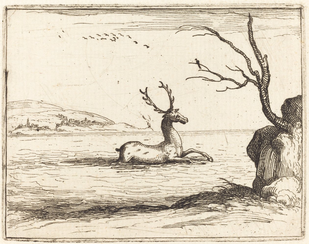 Hirsch im Wasser, 1628 von Jacques Callot