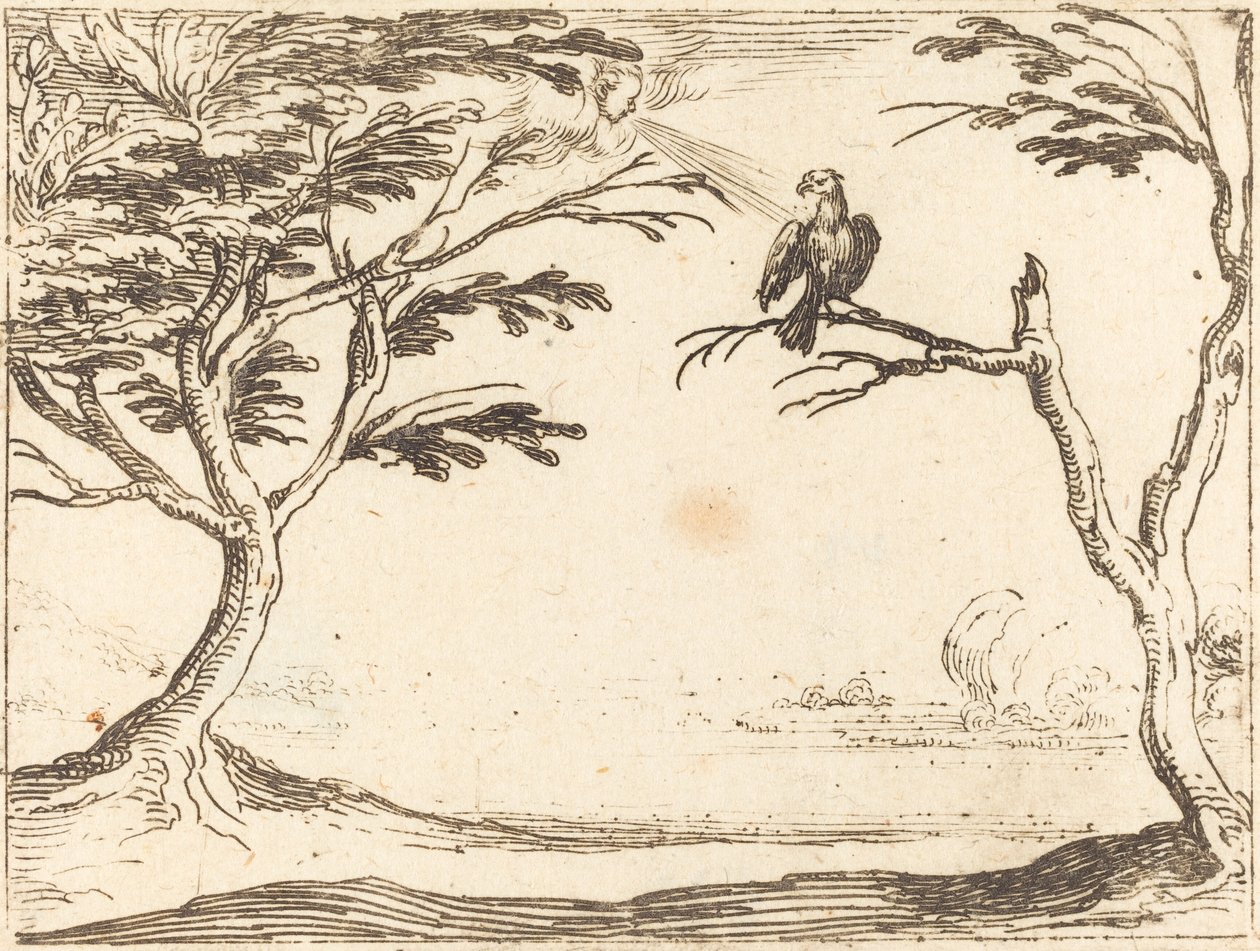 Der Geier von Jacques Callot