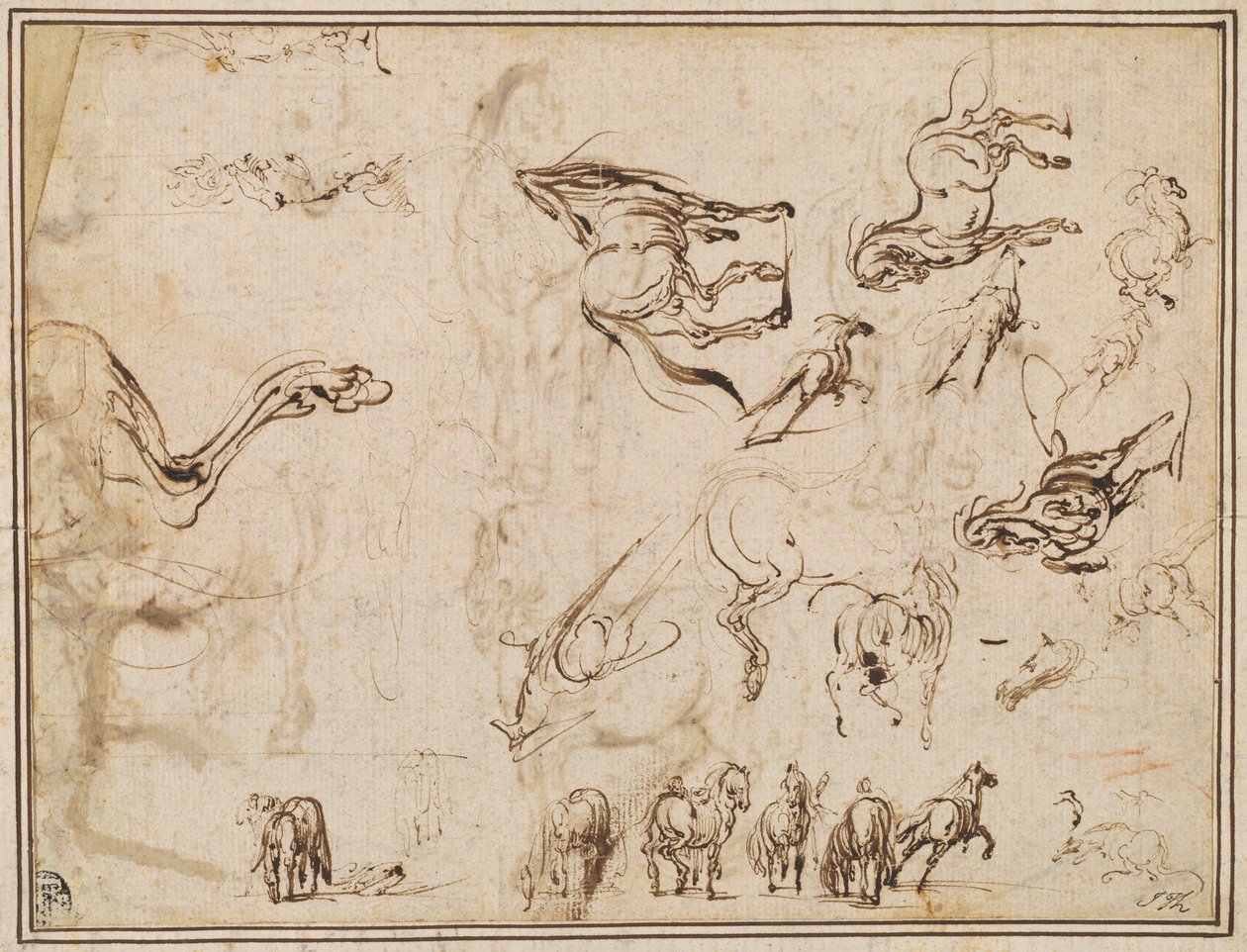 Studien von Pferden [verso] von Jacques Callot after Antonio Tempesta