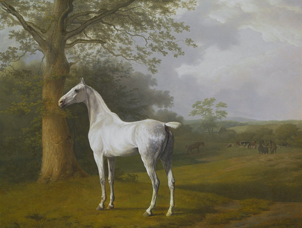 Graues Pferd auf der Weide von Jacques-Laurent Agasse