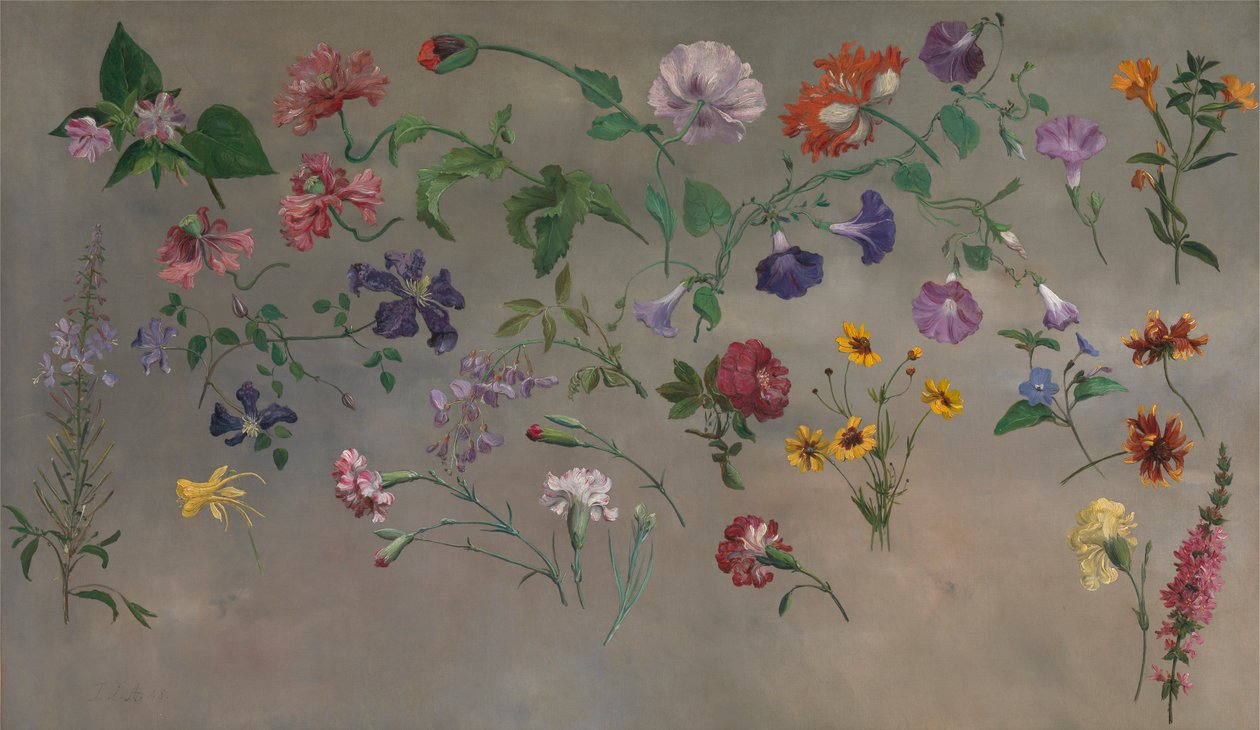 Blumenstudien von Jacques Laurent Agasse