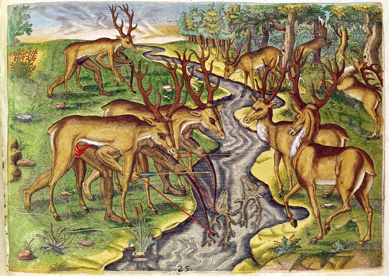 Hirschjagd, aus 