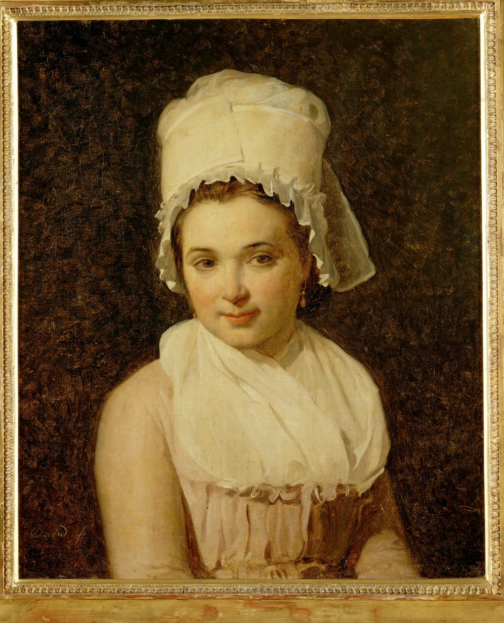 Catherine-Marie-Jeanne Tallard, Ehefrau von Francois Lamy, Bürgermeister von Sougere/Yonne von Jacques Louis David