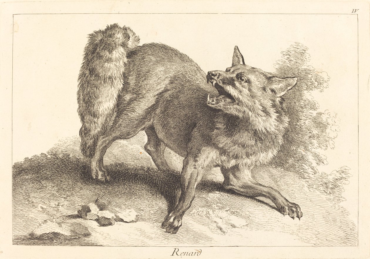Fuchs von Jacques Philippe Le Bas and Jean Eric Rehn after Jean Baptiste Oudry