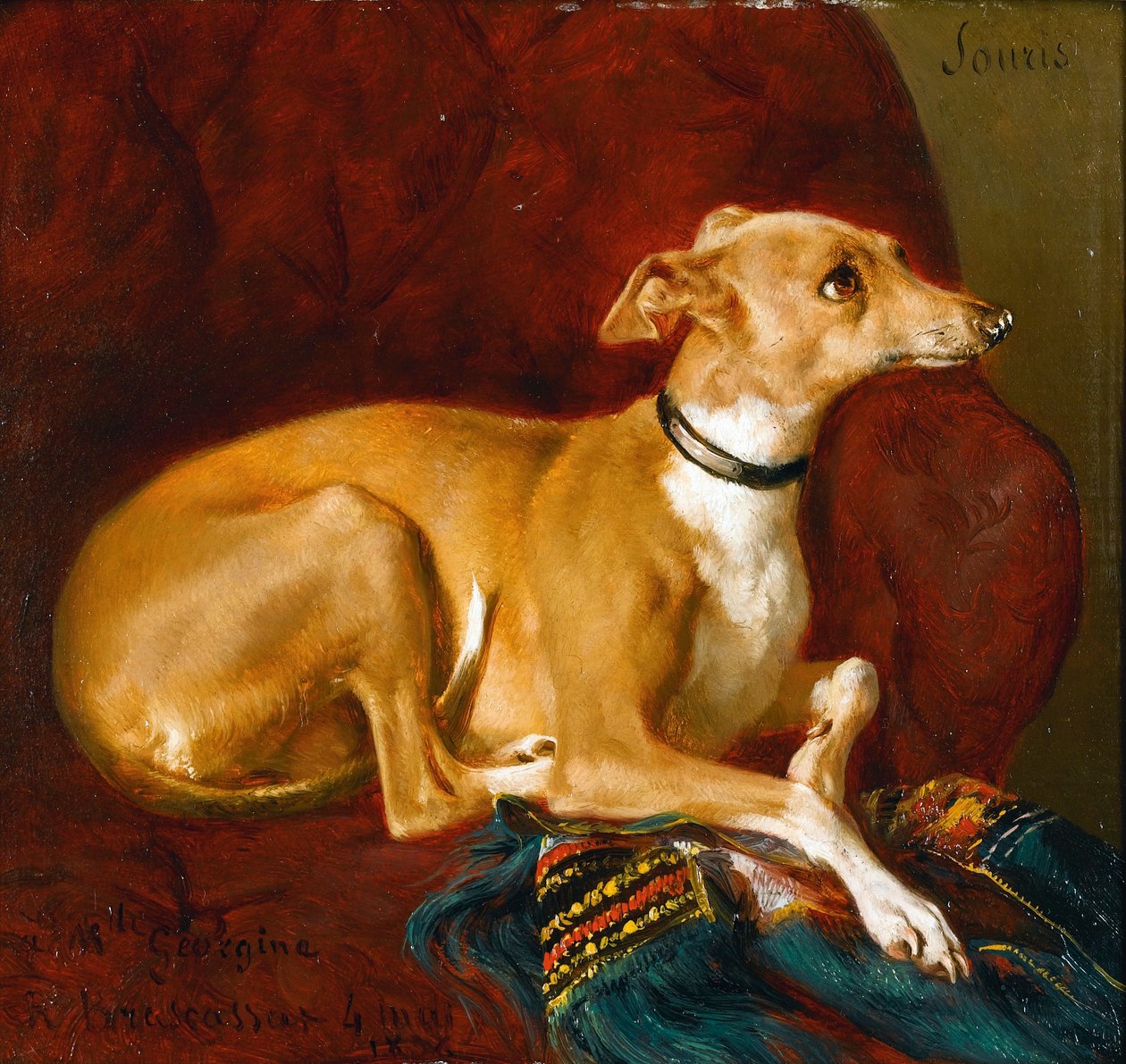 Ein Windhund ruht auf einem Stuhl von Jacques Raymond Brascassat
