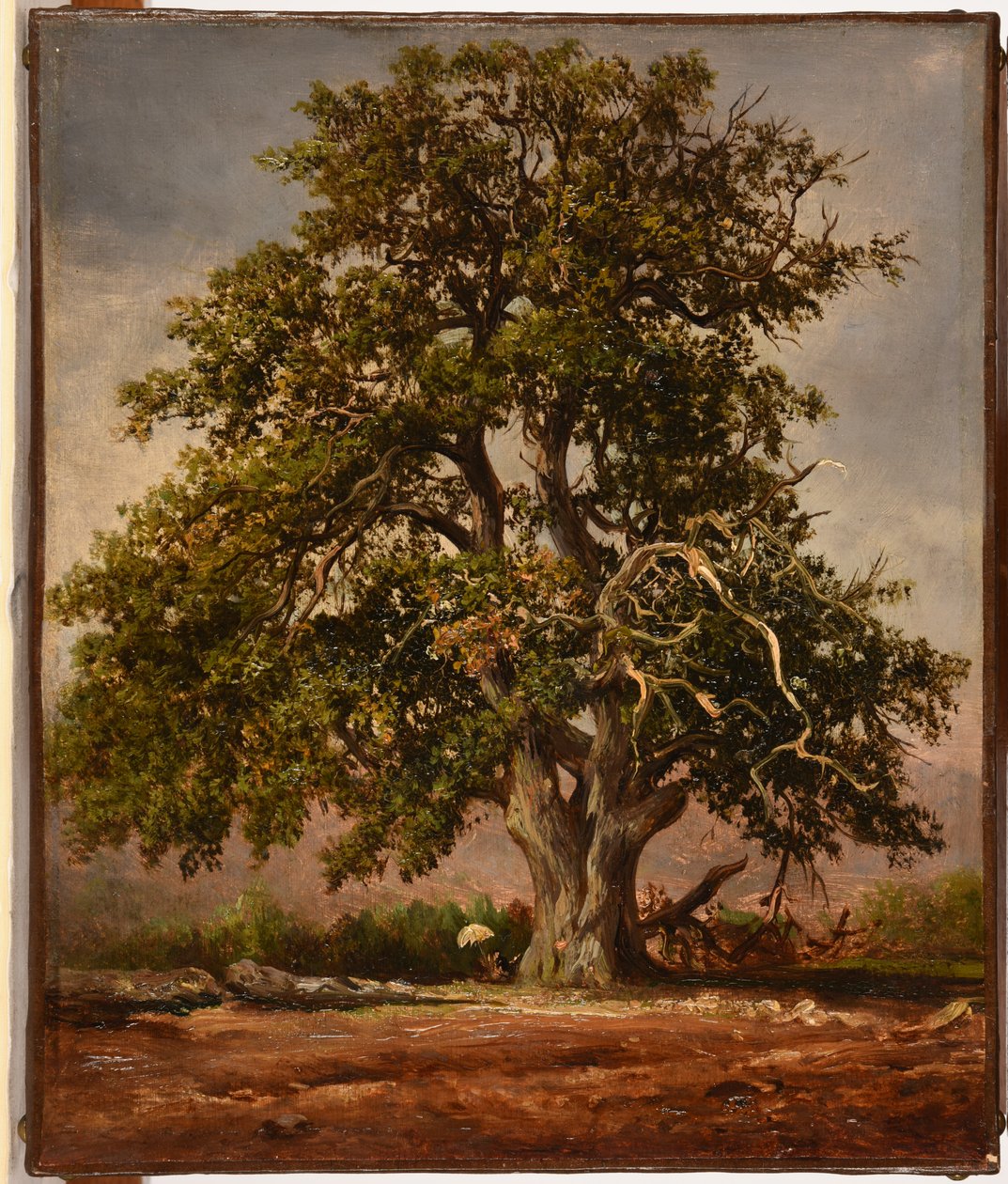 Die alte Eiche von Jacques Raymond Brascassat
