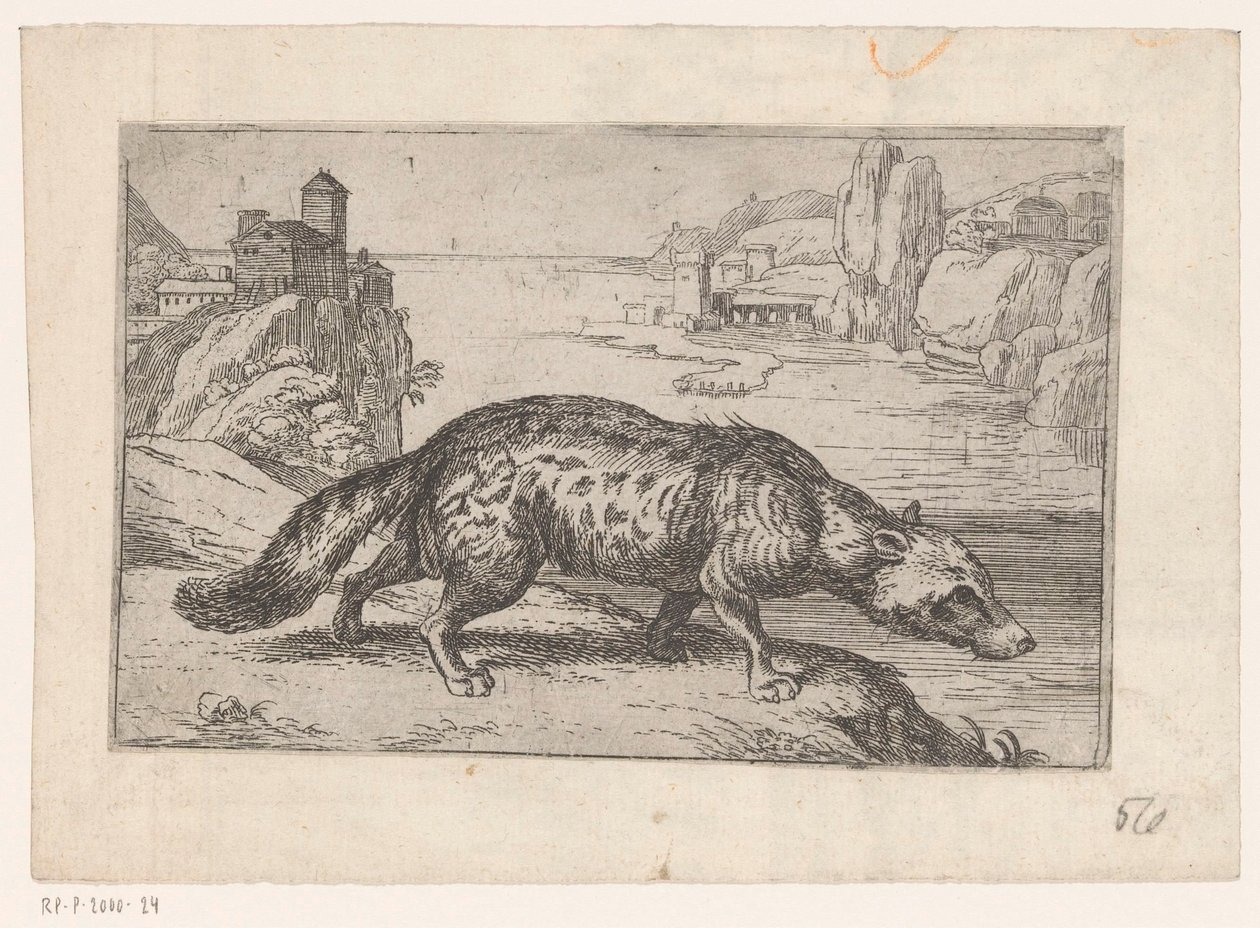 Hyäne von Jacques de Fornazeris (attributed to)
