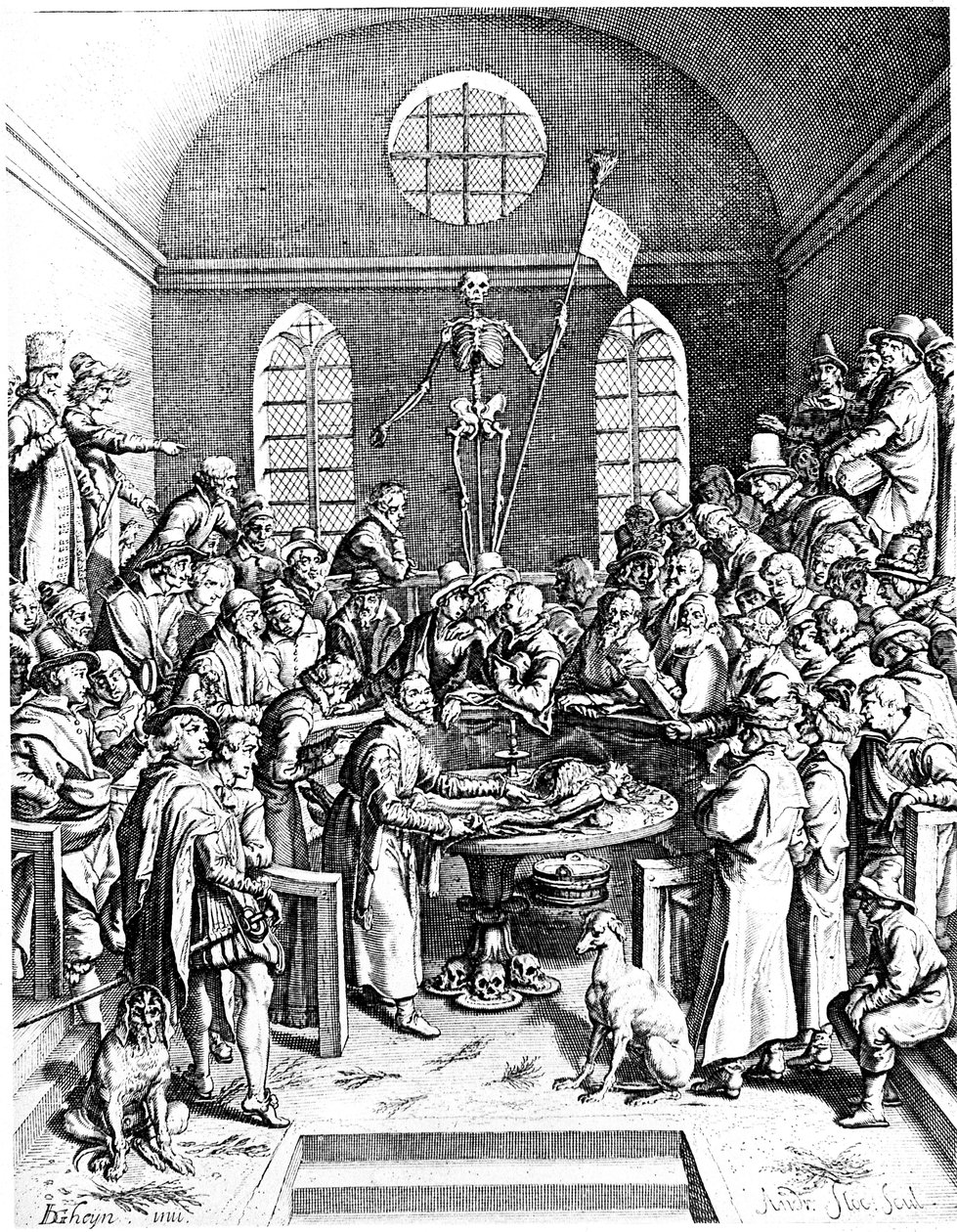 Anatomisches Theater des späten 16. Jahrhunderts, Jacques de Gehyn der Ältere, 1633 von Jacques de Gehyn the Elder