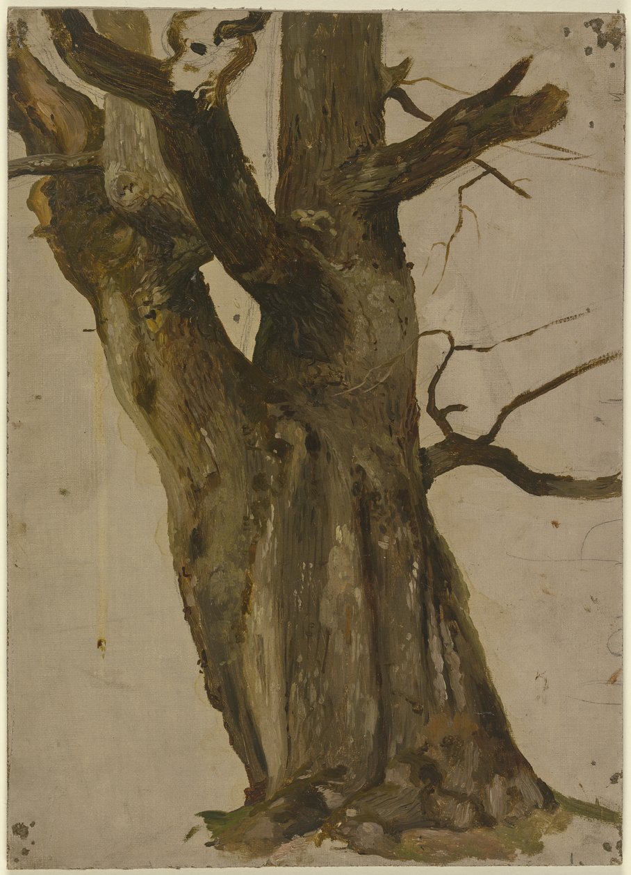 Hohler Baum von Jakob Becker